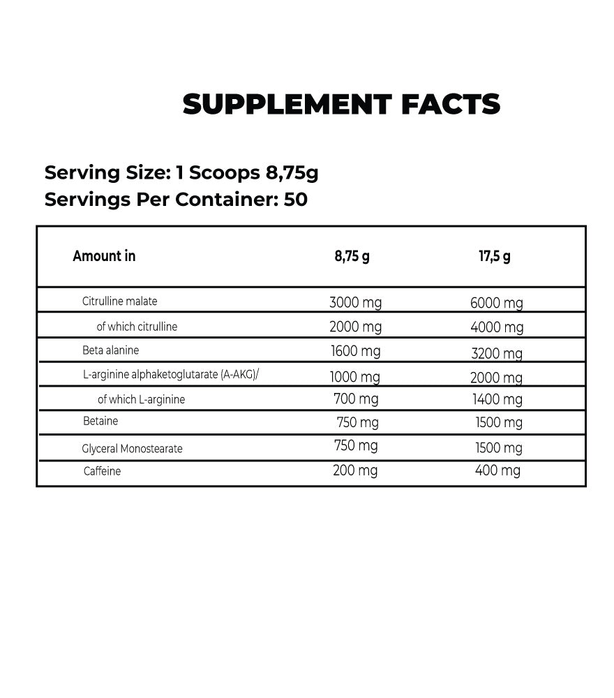 IGNITER PRE TRAINING CATALYST